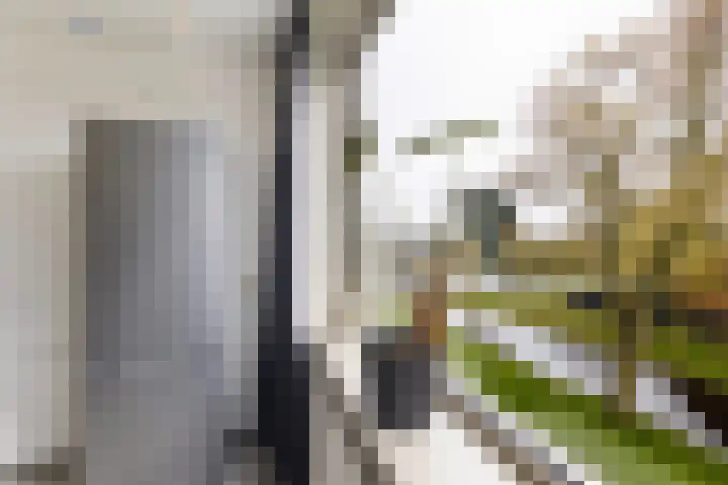 Capella 101 Hoogeveen thumbnail 10