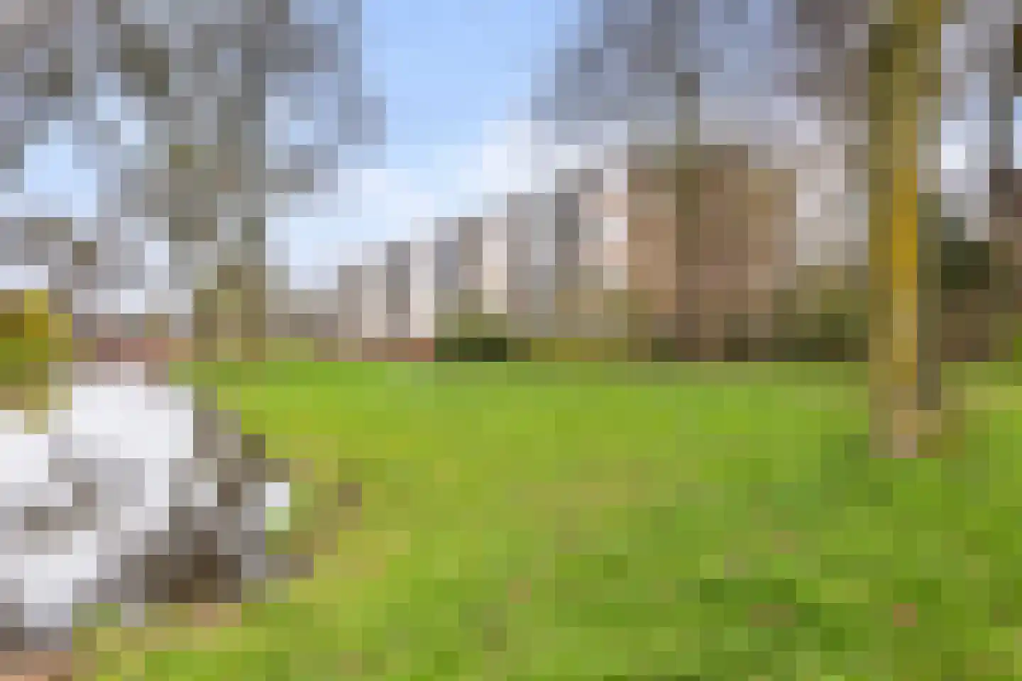 Capella 101 Hoogeveen thumbnail 30