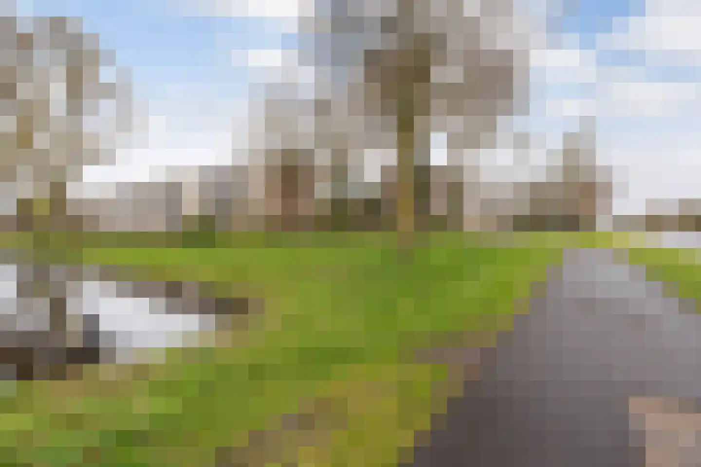 Capella 101 Hoogeveen thumbnail 31