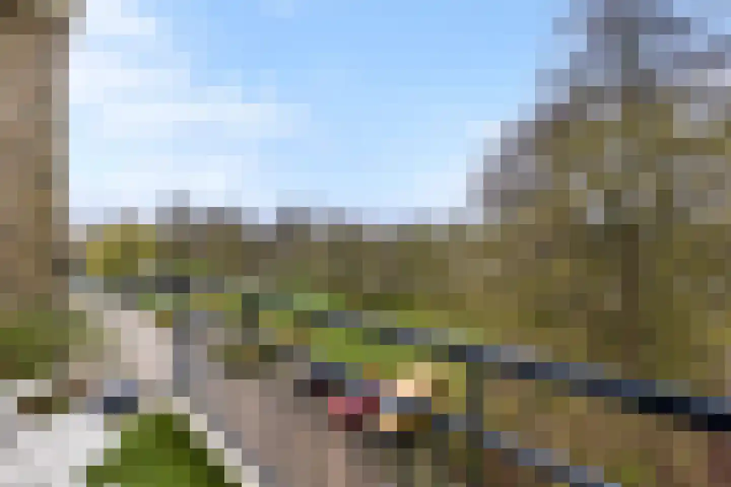 Capella 101 Hoogeveen thumbnail 32