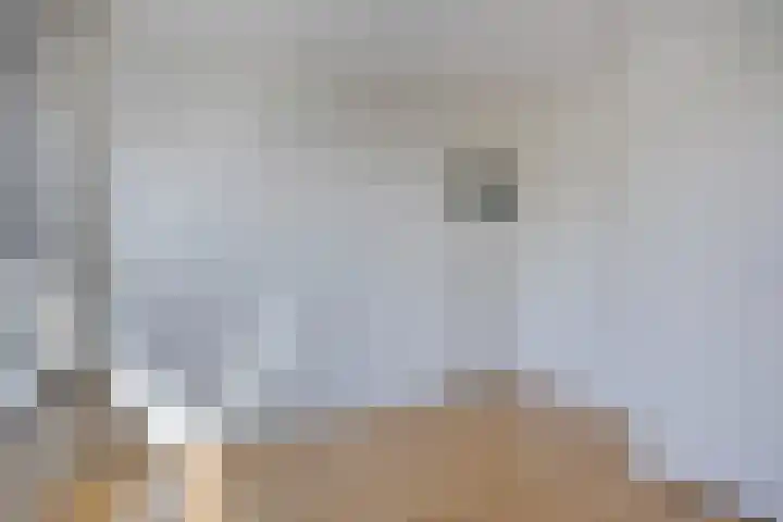 Capella 18 Veldhoven thumbnail 18