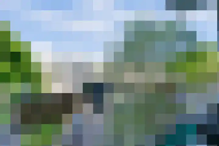 Capella 4 Hoogeveen thumbnail 13