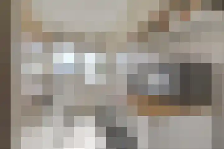 Capella 4 Hoogeveen thumbnail 15