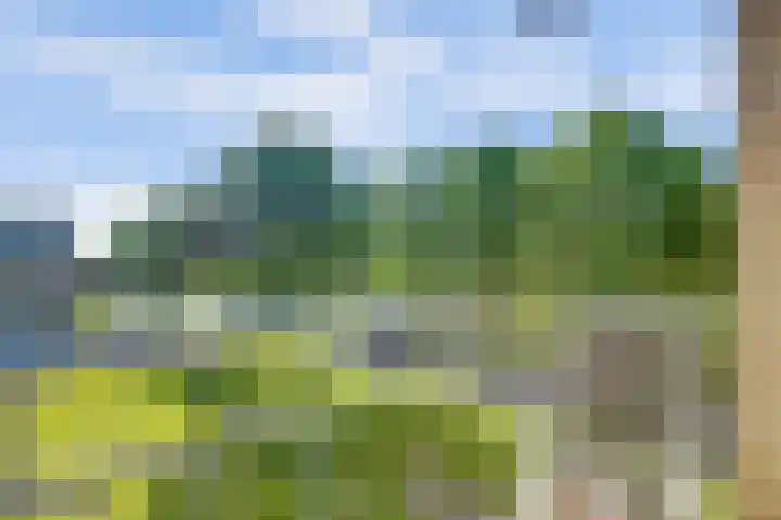 Capella 4 Hoogeveen thumbnail 19