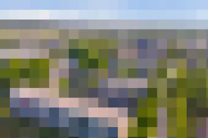 Capella 4 Hoogeveen thumbnail 20
