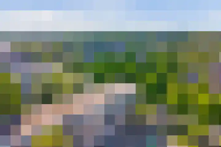 Capella 4 Hoogeveen thumbnail 22