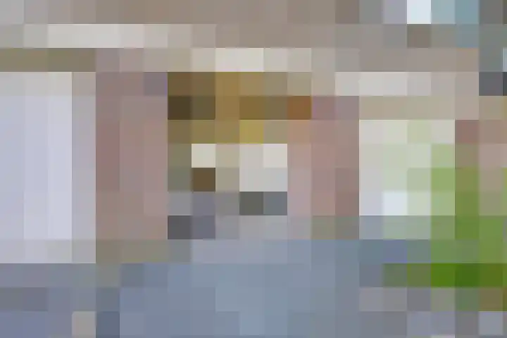 Capella 4 Hoogeveen thumbnail 4