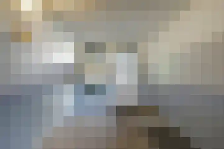 Capella 4 Hoogeveen thumbnail 5