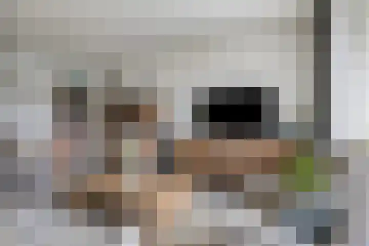 Capella 49 Hoogeveen thumbnail 11