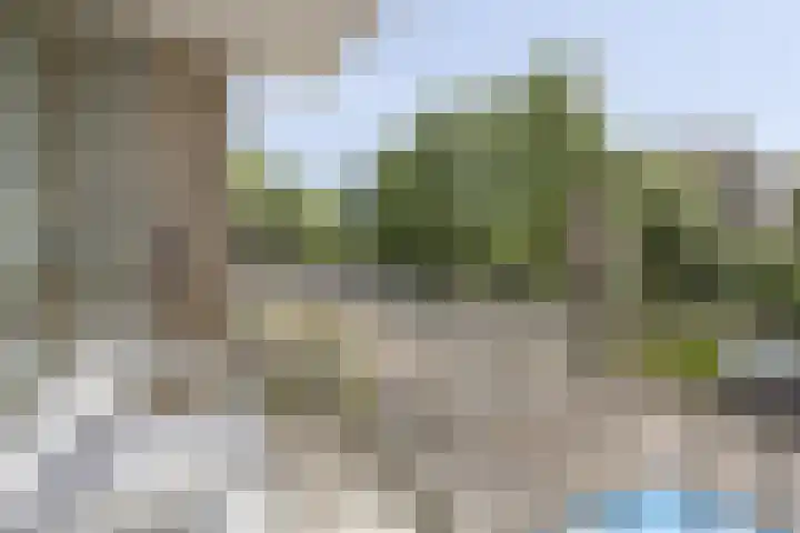 Capella 49 Hoogeveen thumbnail 12
