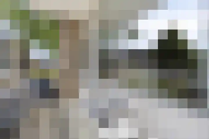 Capella 49 Hoogeveen thumbnail 13