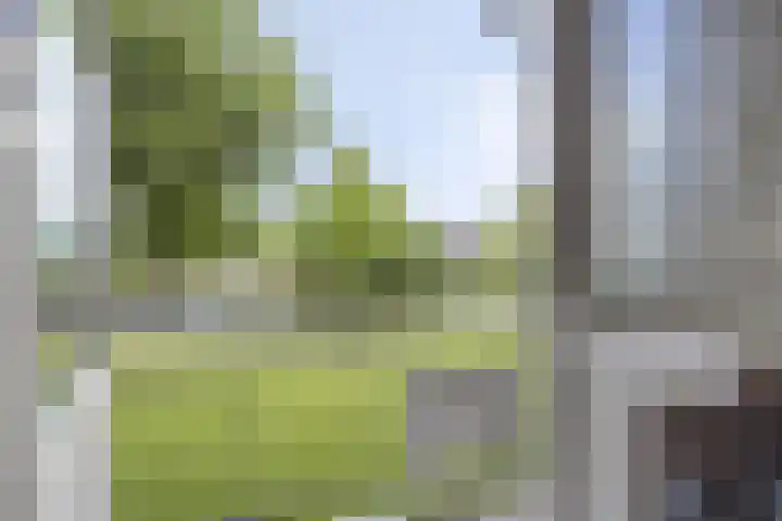 Capella 49 Hoogeveen thumbnail 19