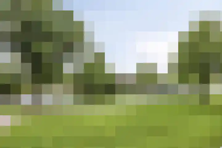 Capella 49 Hoogeveen thumbnail 20