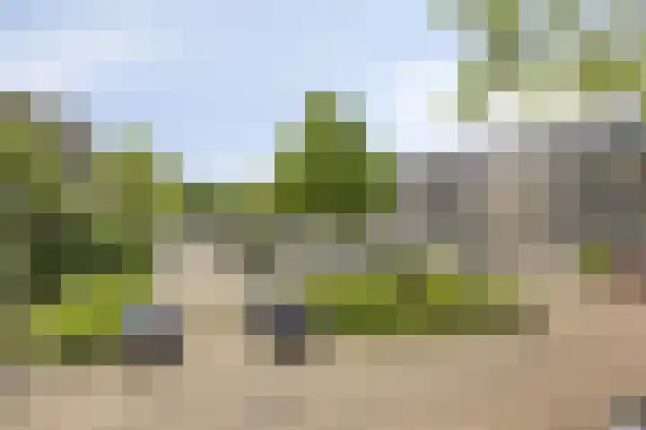 Capella 49 Hoogeveen thumbnail 26