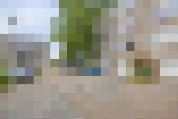 Capella 49 Hoogeveen thumbnail 6