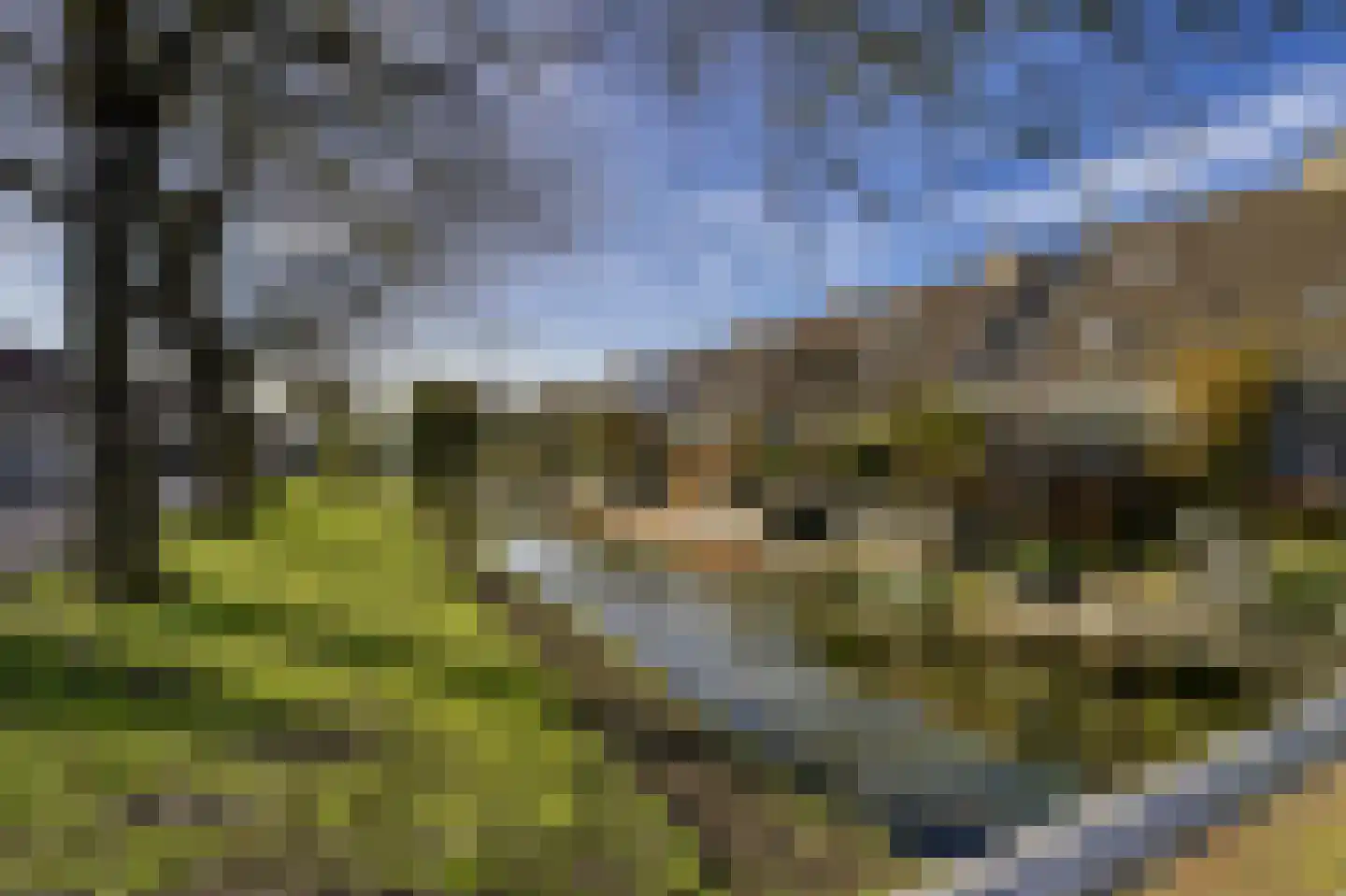 Capella 59 Katwijk thumbnail 33