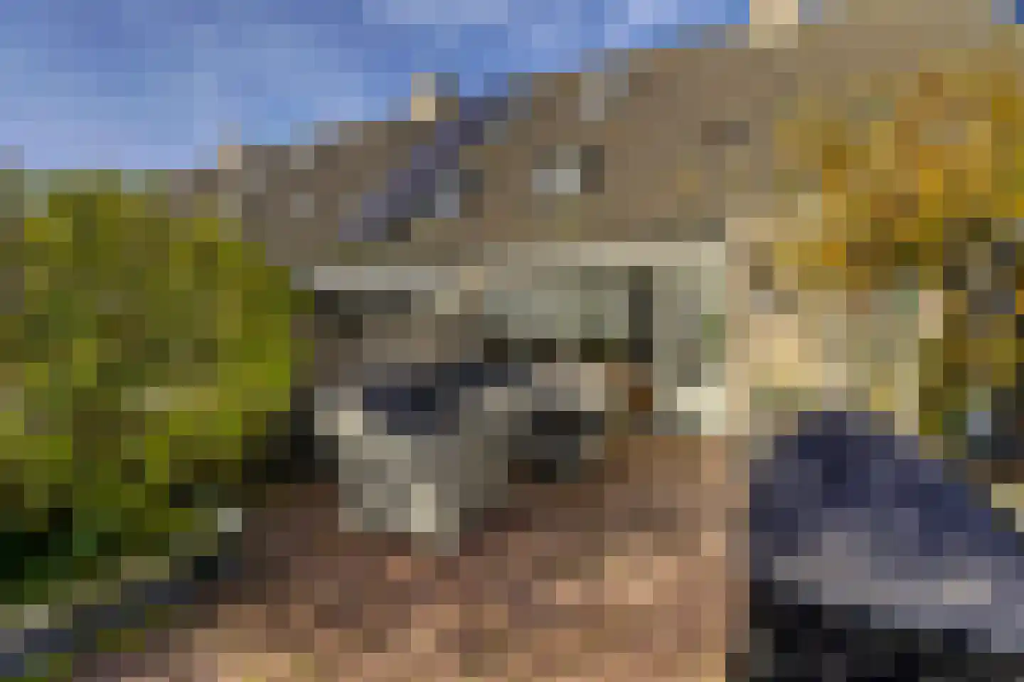 Capella 59 Katwijk thumbnail 4