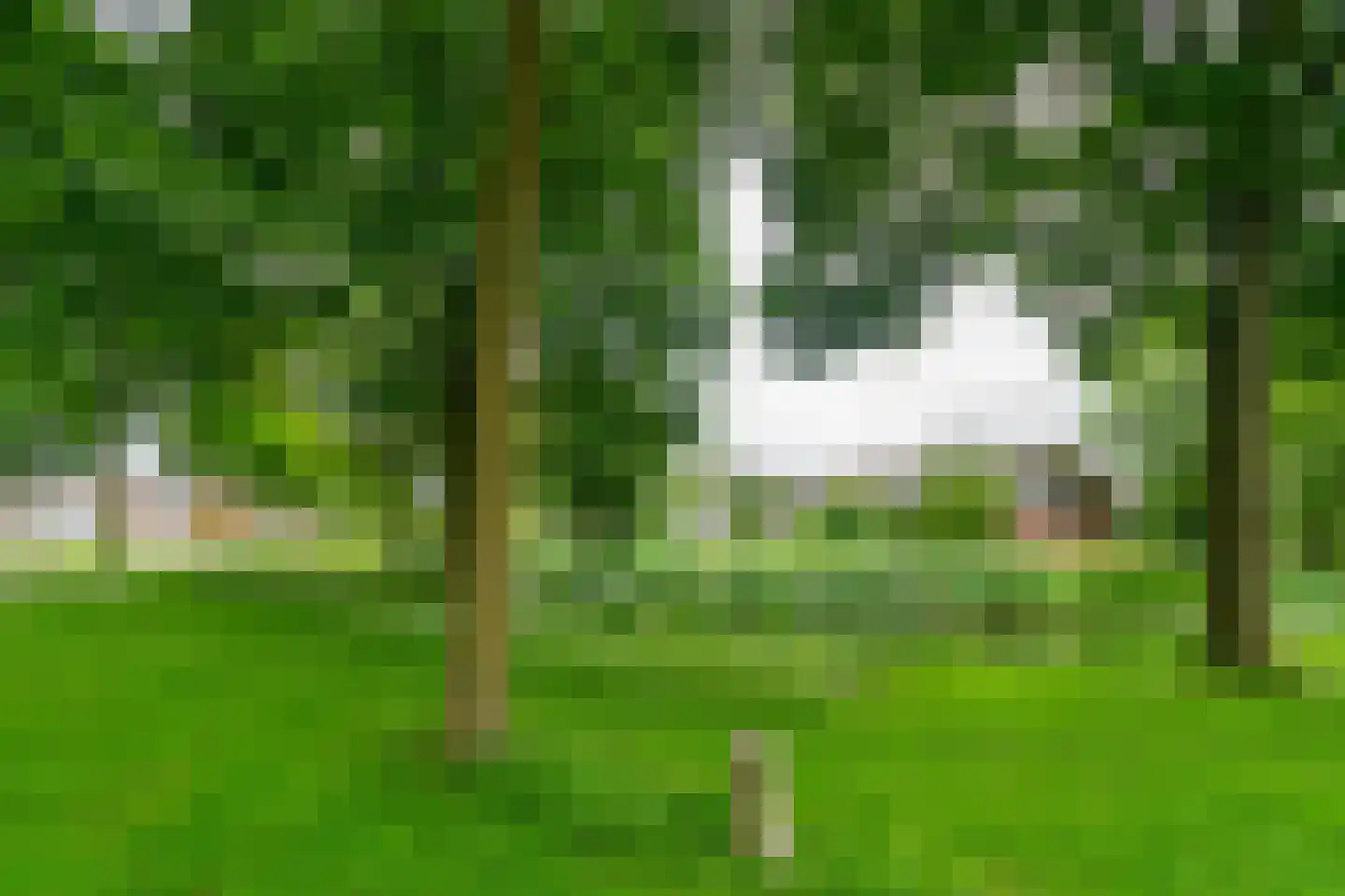 Capella 6 Hoogeveen thumbnail 18