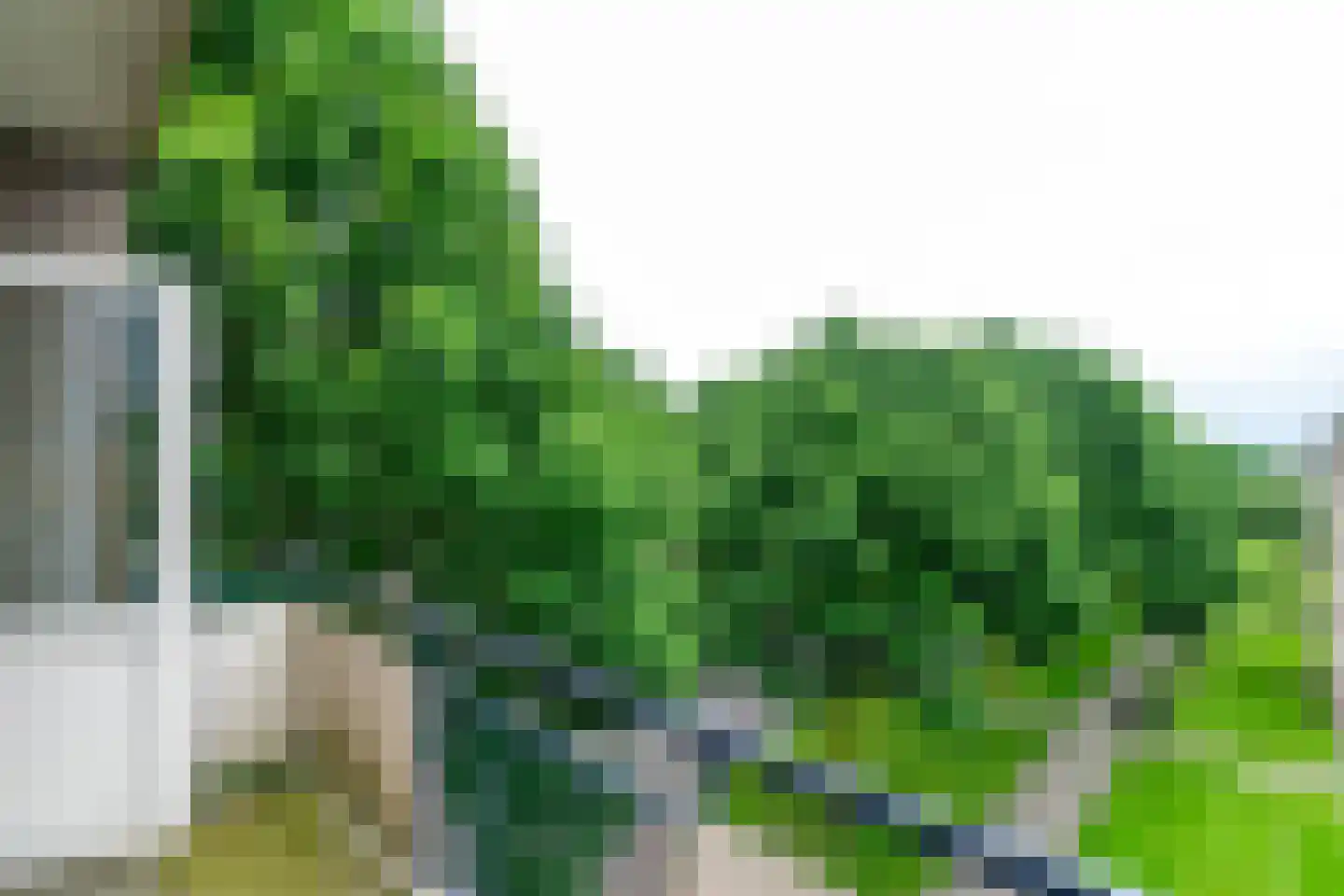 Capella 6 Hoogeveen thumbnail 6