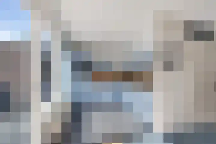 Capella 7 Duiven thumbnail 16