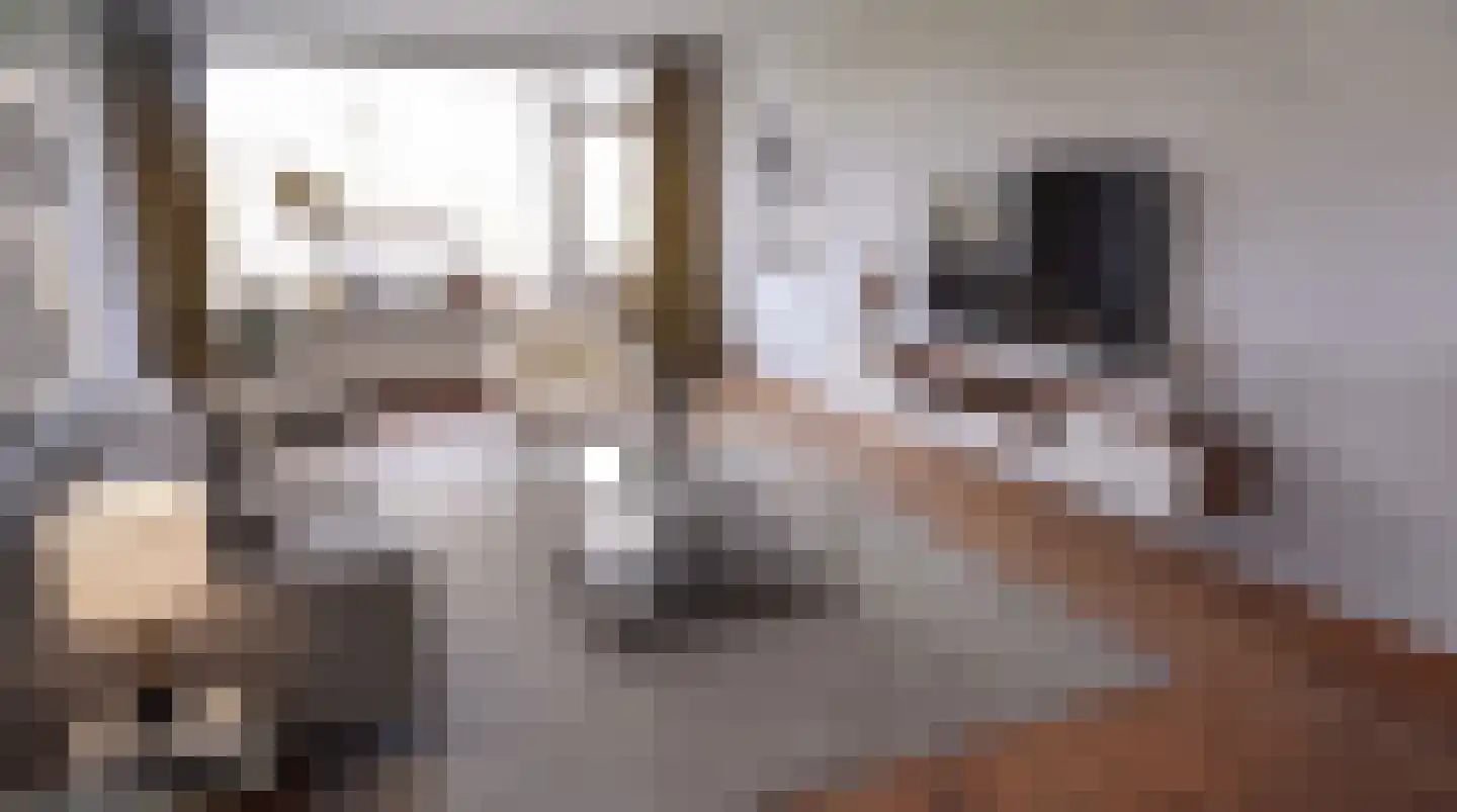 Capella 7 Hoogeveen thumbnail 11