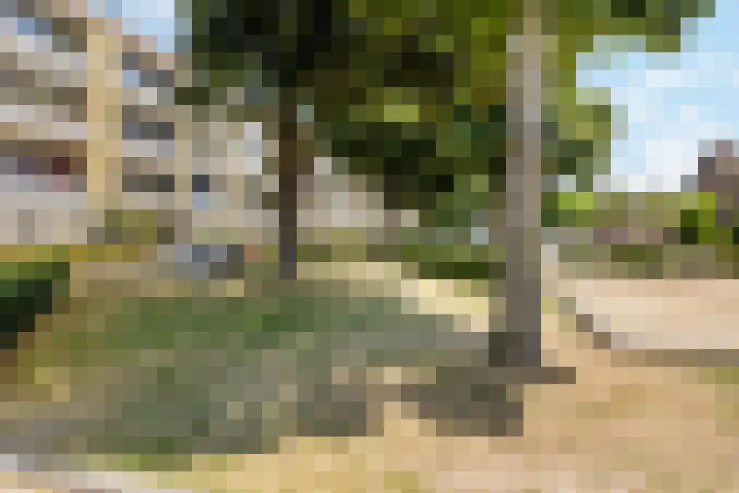 Capella 8 Veldhoven thumbnail 27