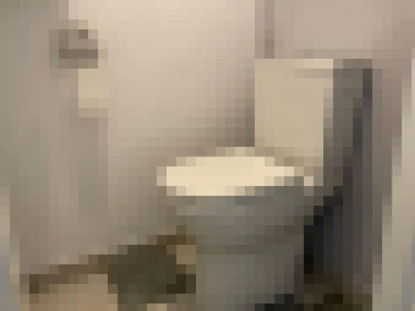 Capella 91 Hoogeveen thumbnail 6