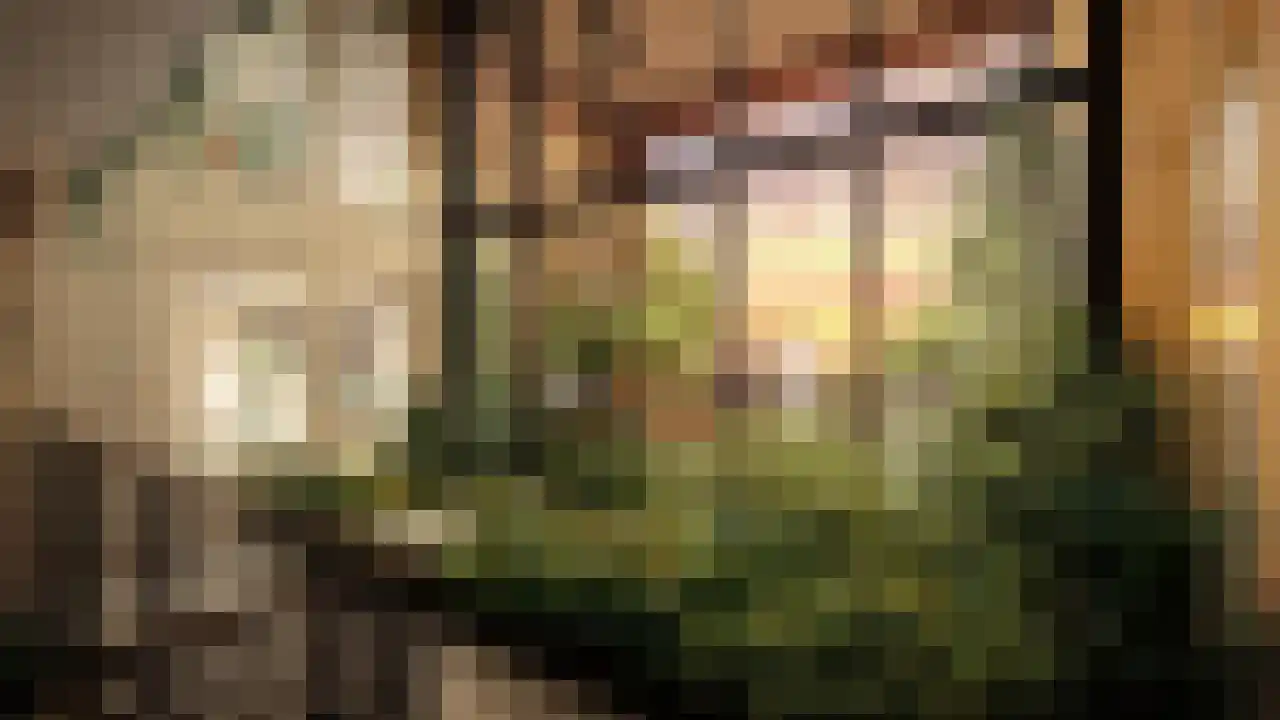 Capellalaan 852 Den Haag thumbnail 5