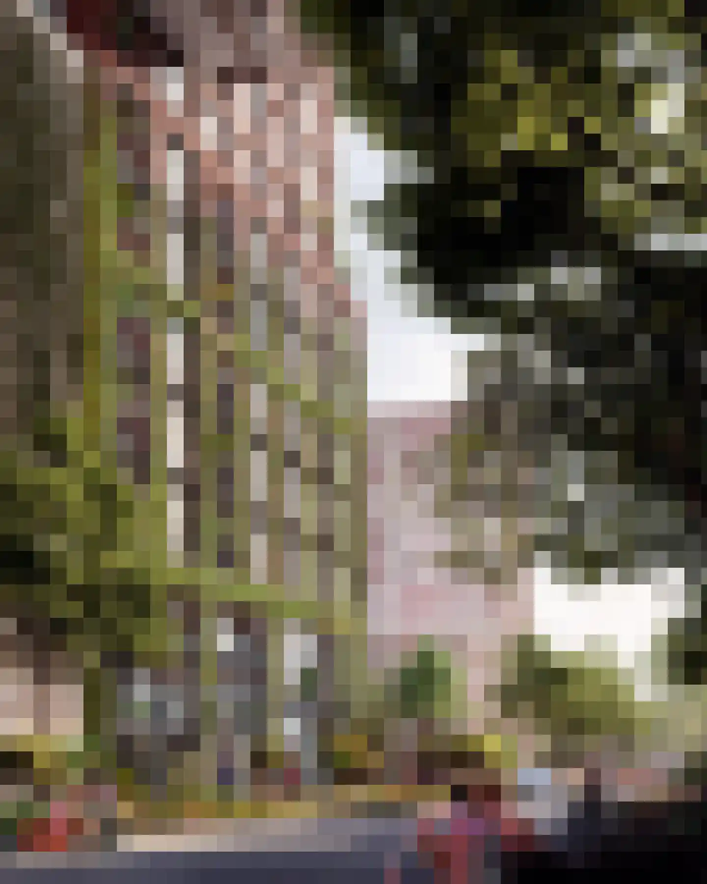 Capellalaan 852 Den Haag thumbnail 7