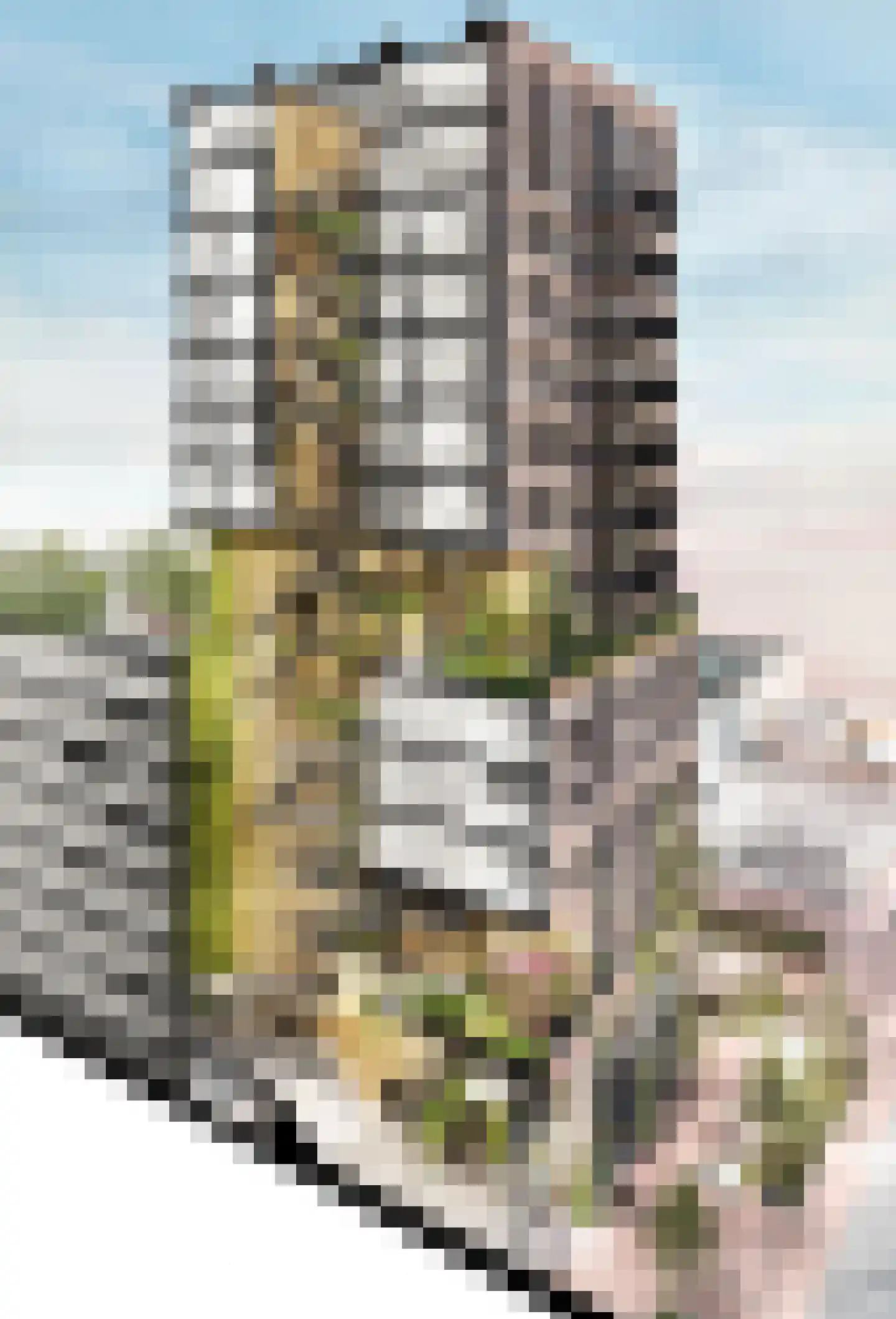 Capellalaan 852 Den Haag thumbnail 8
