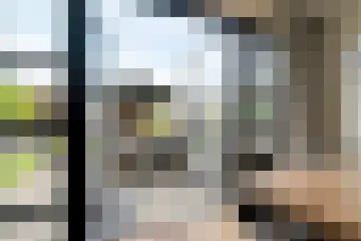 Capellastraat 10 De Krim thumbnail 12