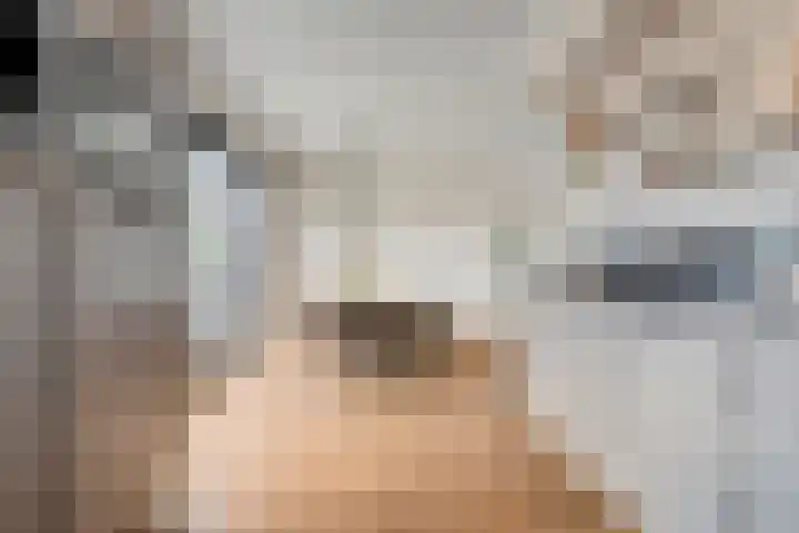 Capellastraat 10 De Krim thumbnail 14