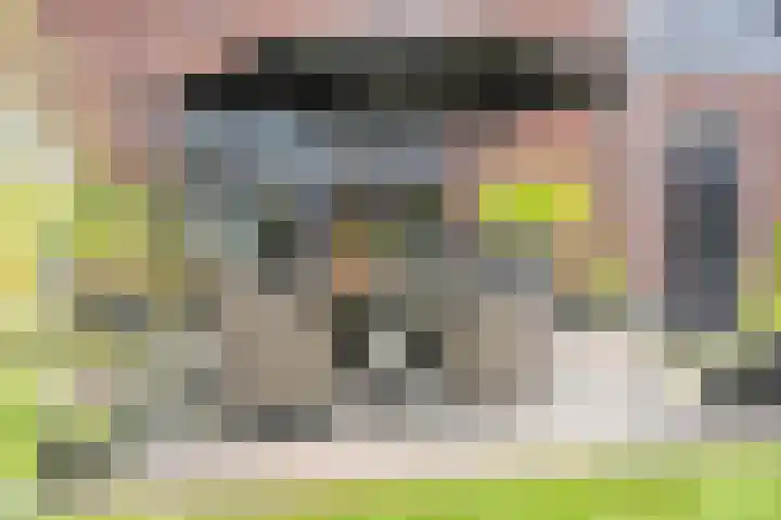 Capellastraat 10 De Krim thumbnail 30