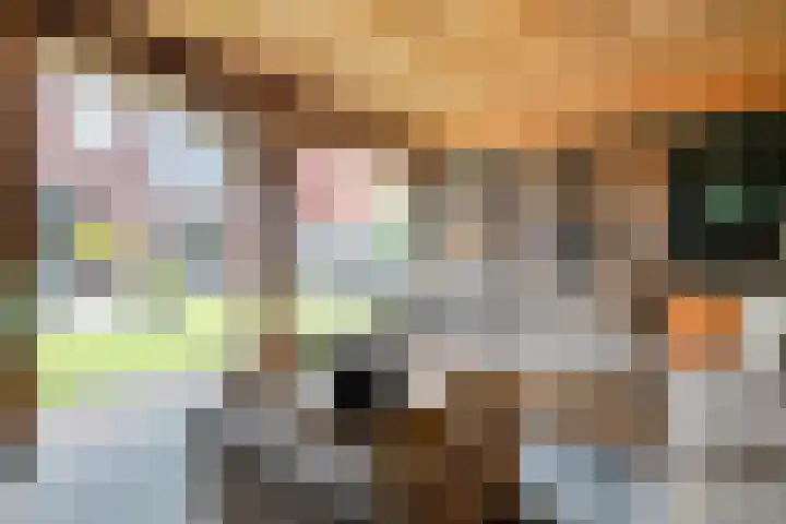 Capellastraat 10 De Krim thumbnail 37