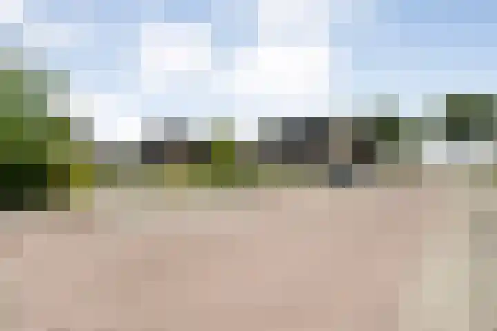 Capellastraat 10 De Krim thumbnail 39