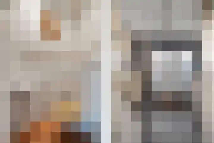 Capellastraat 16 Hardenberg thumbnail 10