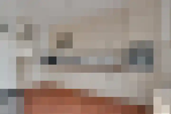 Capellastraat 16 Hardenberg thumbnail 18
