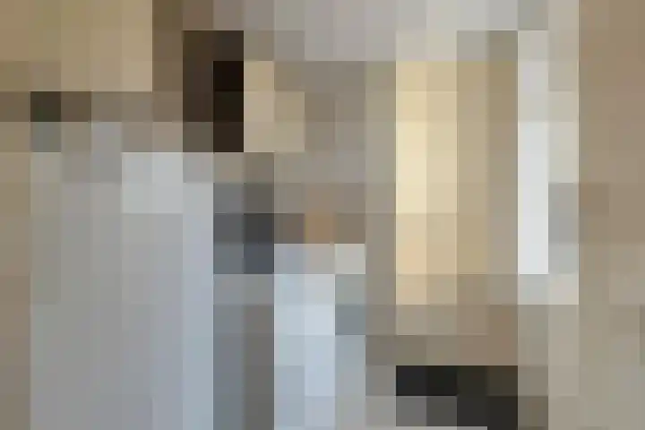 Capellastraat 16 Hardenberg thumbnail 21