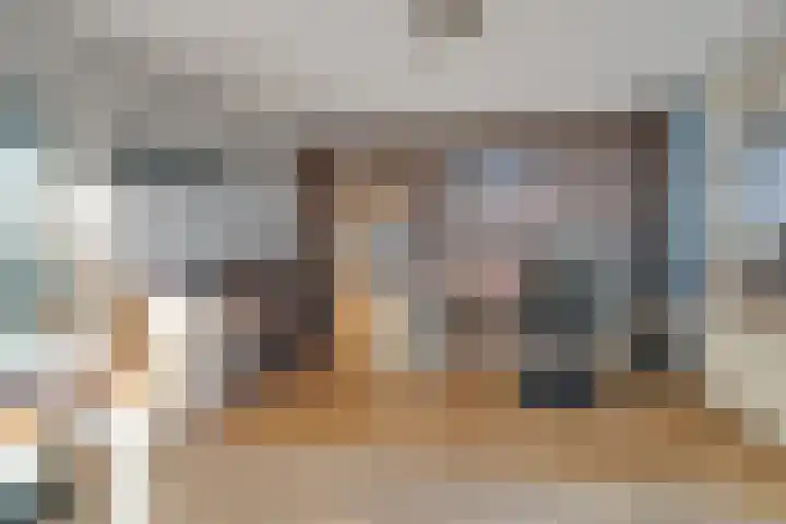 Capellastraat 16 Hardenberg thumbnail 27