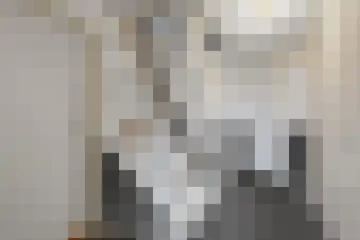 Capellastraat 16 Hardenberg thumbnail 33