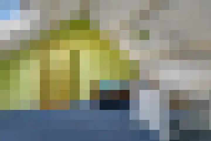 Capellastraat 16 Hardenberg thumbnail 35