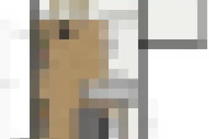 Capellastraat 16 Zuidhorn thumbnail 39