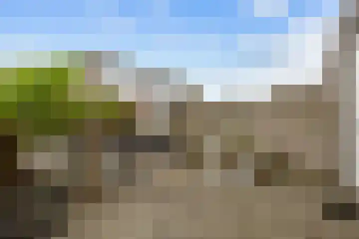 Capellastraat 18 Zuidhorn thumbnail 31