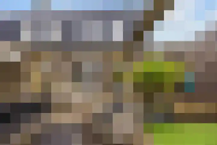 Capellastraat 18 Zuidhorn thumbnail 34