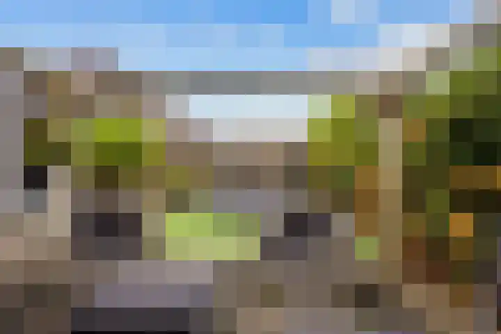 Capellastraat 18 Zuidhorn thumbnail 35
