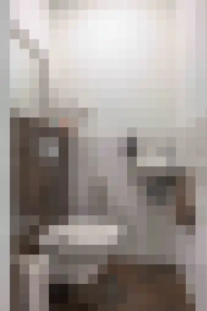 Capellastraat 18 Zuidhorn thumbnail 9
