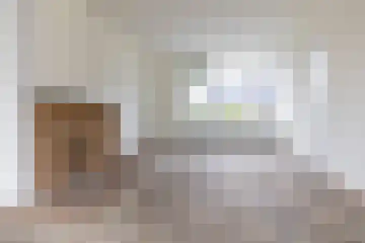 Capellastraat 2 Groningen thumbnail 14
