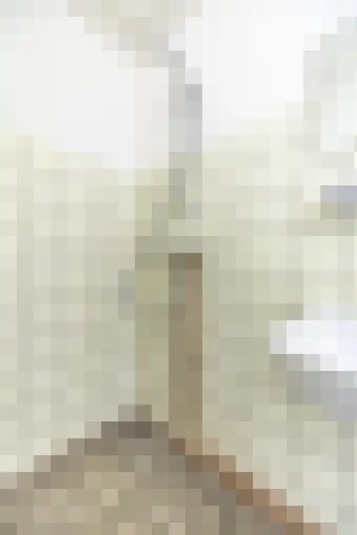 Capellastraat 2 Groningen thumbnail 30