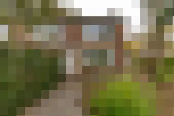Capellastraat 2 Groningen thumbnail 33