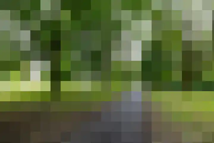Capellastraat 2 Groningen thumbnail 35